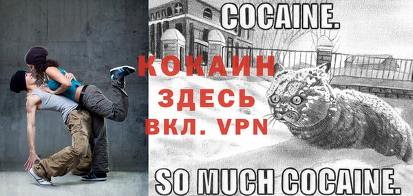 твердый Белокуриха