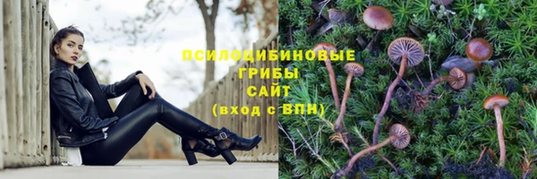 прущие крисы Белоозёрский