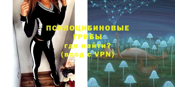 ГАЛЛЮЦИНОГЕННЫЕ ГРИБЫ Беломорск
